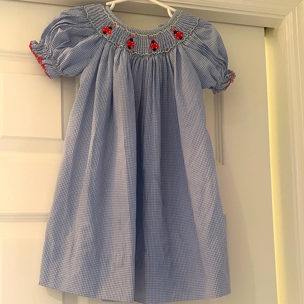 Adorable Blue Gingham Dress with Ladybug Embroidery